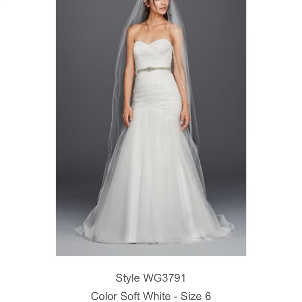 David’s bridal Wedding Dress